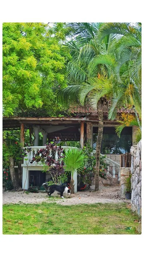 Tortuga Bacalar Bed & Breakfast