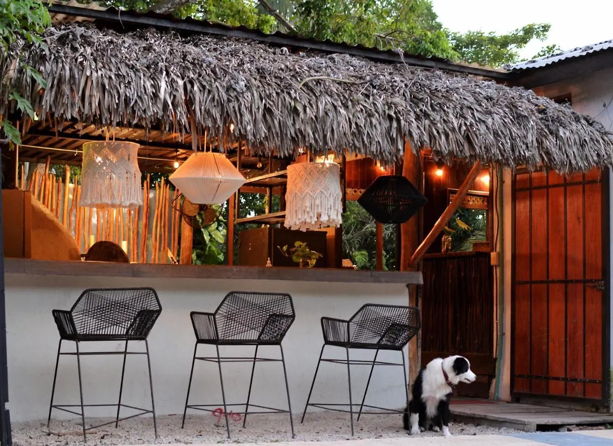 Tortuga Bacalar Bed & Breakfast 0*,