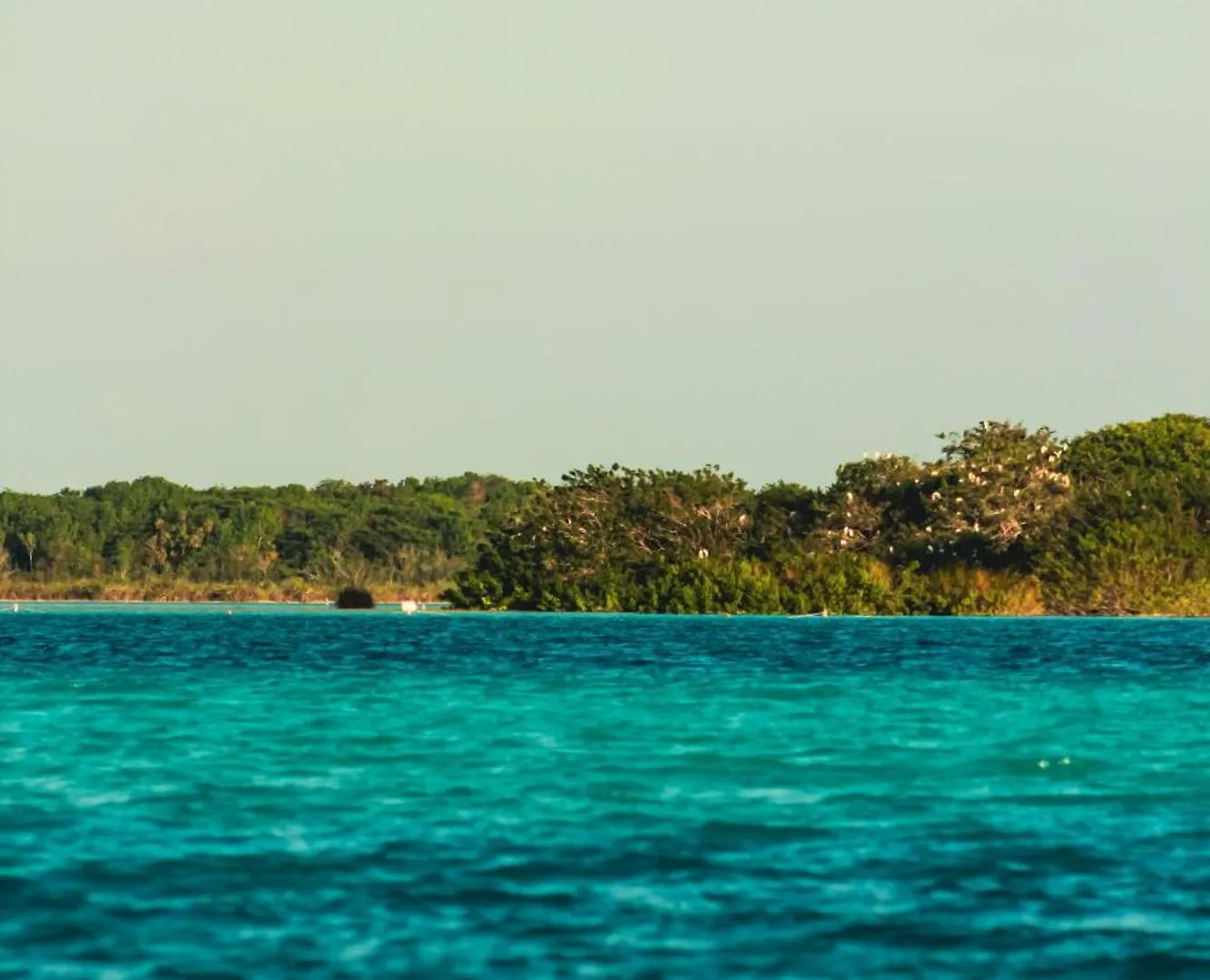 Tortuga Bacalar Bed & Breakfast